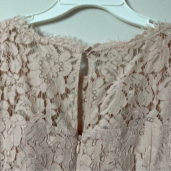 Eliza J Midi Lace Dress – Soft Pink, Fuller Skirt – Size 6 Petite - Picture 3 of 11